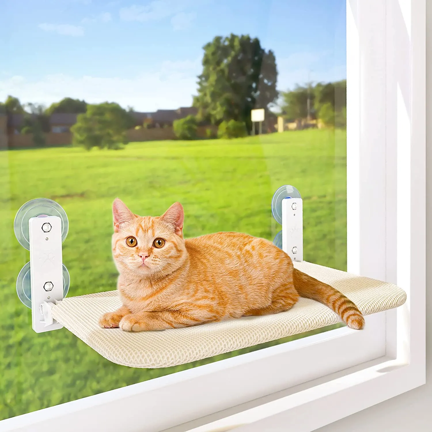 Foldable Cat Window Perch with Seasonal Covers – Sturdy, Space-Saving Hammock