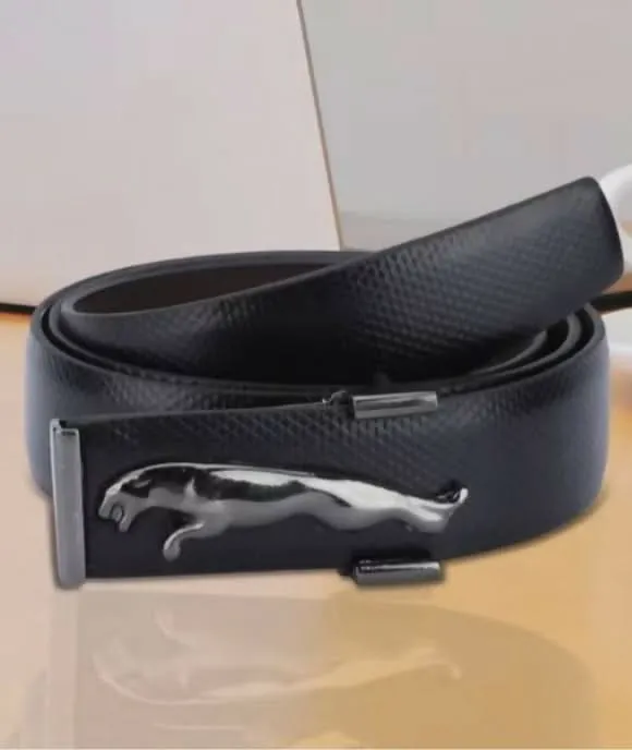 Jaguar Brown Leather Belt - black Buckle