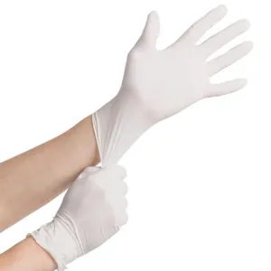 Latex Powder Free Glove - Showa